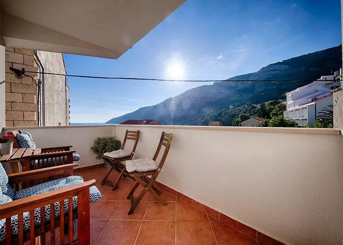 Marinkovic * 코미자